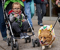 Tour de Corgi 2017