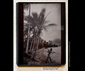 Global Village Museum - Hawaii