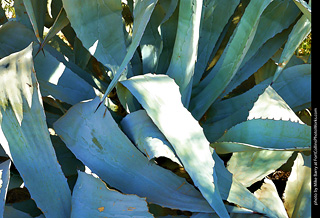 Old Tucson Scenery