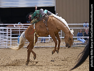 Never Summer Rodeo