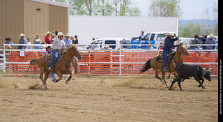 Never Summer Rodeo - Mixed Team Roping