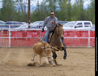 Never Summer Rodeo - Open Team Roping