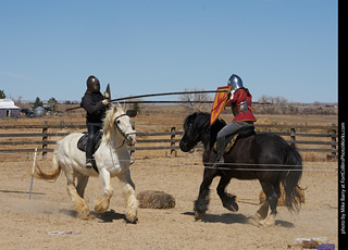 Order of Epona
