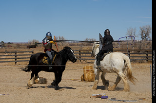 Order of Epona