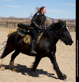 Order of Epona