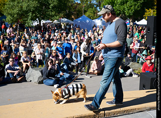Tour de Corgi 2023