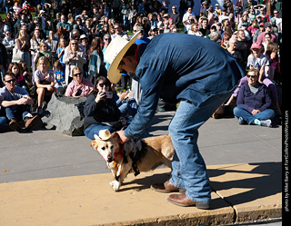 Tour de Corgi 2023