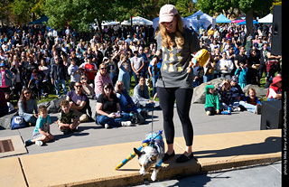 Tour de Corgi 2023