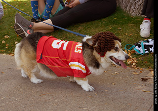 Tour de Corgi 2023