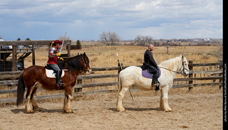 Order of Epona