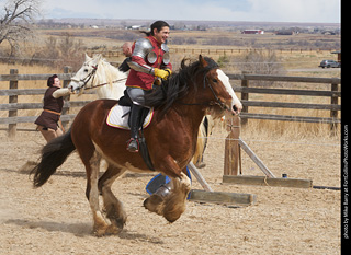 Order of Epona