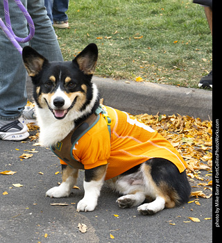 2024 Tour de Corgi - guests