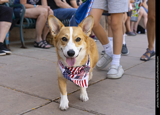2024 Tour de Corgi - tour