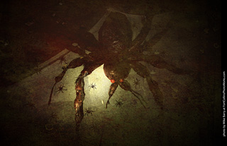 Creepy Walk in the Woods 2025